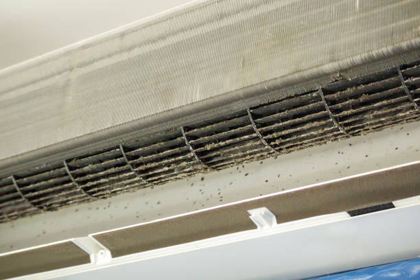 Best Affordable HVAC Duct Cleaning  in Fifth Ward, LA
